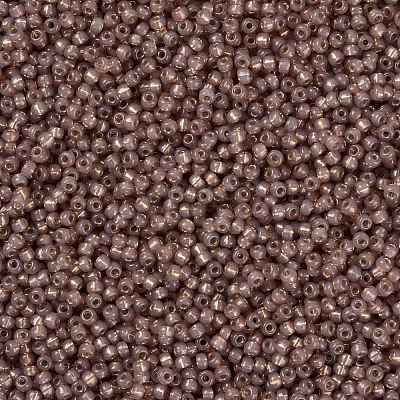 MIYUKI Round Rocailles Beads X-SEED-G008-RR0641-1