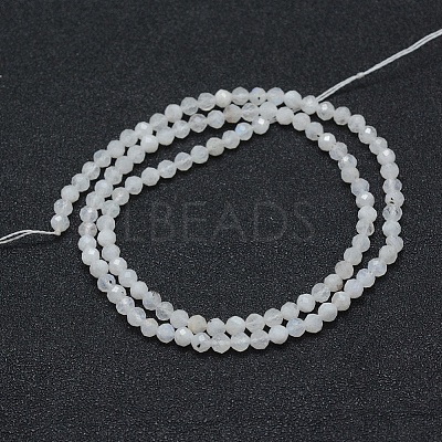 Natural Rainbow Moonstone Beads Strands LS-G-E411-08-4mm-1