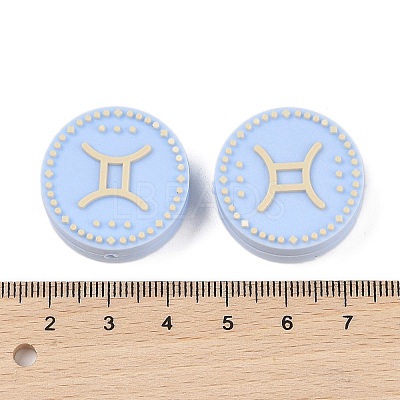 Food Grade Silicone Focal Beads SIL-Z021-02I-1