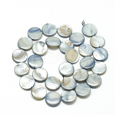 Natural Shell Beads Strands PBB251Y-3-1