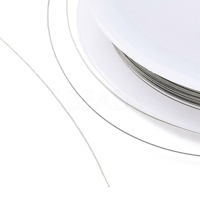Nylon-coated Stainless Steel LS-TWIR-H003-01A-P-1