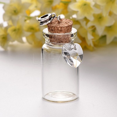 Antique Silver Plated Alloy Glass Bottle European Dangle Charms PALLOY-JF00084-1