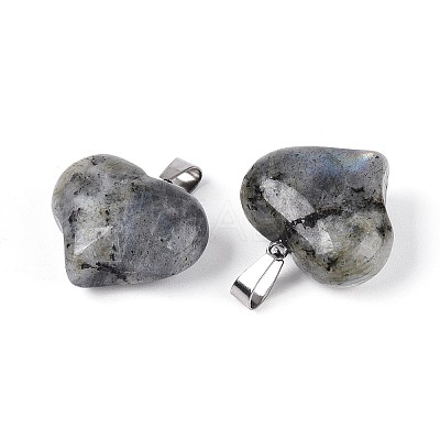 Natural Labradorite Pendants G-N361-01P-02-1