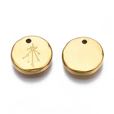 316 Surgical Stainless Steel Charms STAS-S116-418K-G-1