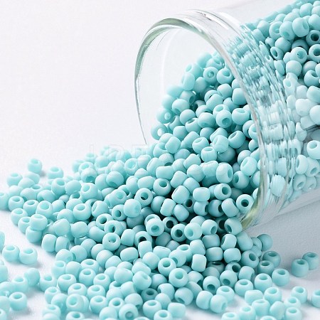 TOHO Round Seed Beads SEED-JPTR11-0413F-1