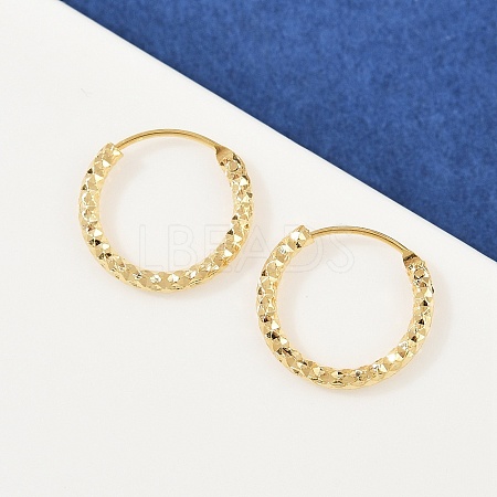 Brass Textured Hoop Earrings LS-EJEW-F378-03B-G-1