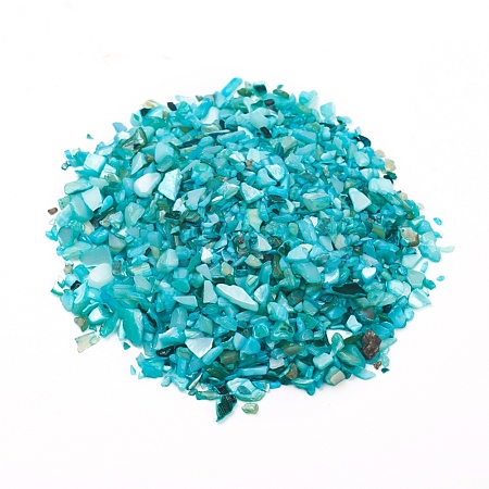Natural Freshwater Shell Beads BSHE-I011-03B-1