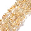 Natural Citrine Chips Beads X-F091-2