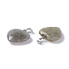 Natural Labradorite Pendants G-G956-B24-FF-3