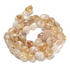 Natural Yellow Lodolite Quartz Beads Strands G-P497-01E-39B-3