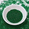 MIYUKI Delica Beads SEED-MY11-DB0705-2