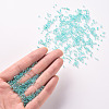 11/0 FGB Grade A Transparent Glass Seed Beads X-SEED-N001-E-318-4