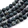 Frosted Natural Kambaba Jasper Beads Strands G-M272-14-8mm-3