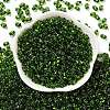 Glass Seed Beads SEED-L011-02A-02-2