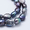 Natural Cultured Freshwater Pearl Beads Strands PEAR-K004-02B-3