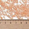 Glass Seed Beads SEED-K009-08B-02-4