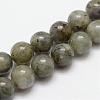 Natural Labradorite Bead Strands G-O155-05A-8mm-1
