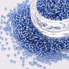 Glass Cylinder Beads SEED-S047-R-005-1