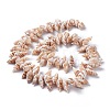 Natural Spiral Shell Beads Strands BSHE-I016-08-2