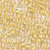 6/0 Glass Seed Beads SEED-A015-4mm-2202-2