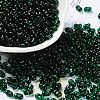 Glass Seed Beads SEED-L011-02A-07-1