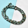 Natural African Turquoise (Jasper) Beads Strands G-Z045-A10-01-3