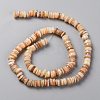 Natural Freshwater Shell Beads Strands SHEL-C001-06-8