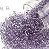 TOHO Round Seed Beads X-SEED-TR08-1300-1