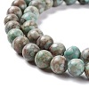 Natural Maifanite/Maifan Stone Beads Strands G-P451-01B-D-4