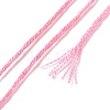 10 Skeins 6-Ply Polyester Embroidery Floss OCOR-K006-A09-3