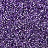 MIYUKI Delica Beads SEED-X0054-DB2168-3