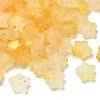 Frosted Acrylic Charms OACR-M023-04K-1