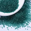 MIYUKI Delica Beads SEED-JP0008-DB1108-1
