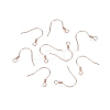 925 Sterling Silver Earring Hooks STER-N016-30RG-1