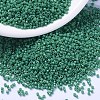 MIYUKI Delica Beads X-SEED-J020-DB2127-1