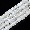 Natural White Moonstone Beads Strands G-N328-43-1
