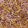 100G Paper Natural Rope OCOR-TA0002-26-4