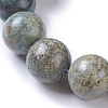 Natural African Turquoise(Jasper) Beads Strands G-E524-10-25mm-3