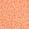 FGB Frosted Transparent Glass Seed Beads SEED-N013-04A-04-3