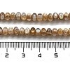 Natural Freshwater Shell Beads Strands BSHE-G038-05-5