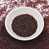 MIYUKI Delica Beads SEED-X0054-DB1748-2