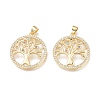 Brass Micro Pave Cubic Zirconia Pendants ZIRC-L076-043G-1