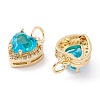 Brass Micro Pave Cubic Zirconia Charms LS-ZIRC-A019-14G-A-2