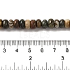 Natural Picasso Jasper Beads Strands G-Q161-B01-02-5