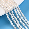 Natural Cultured Freshwater Pearl Beads Strands PEAR-N014-03E-01-1