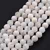 Natural Rainbow Moonstone Beads Strands G-K323-20A-2