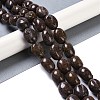 Natural Red Snowflake Obsidian Beads Strands G-K362-D01-02-2