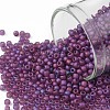 TOHO 11/0 Round Beads SEED-XTR11-0625F-1