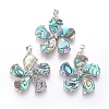 Abalone Shell/Paua Shell Pendants SSHEL-L008-64A-1