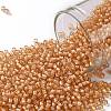 TOHO 11/0 Round Beads X-SEED-TR11-0923-1